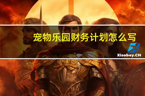 宠物乐园财务计划怎么写