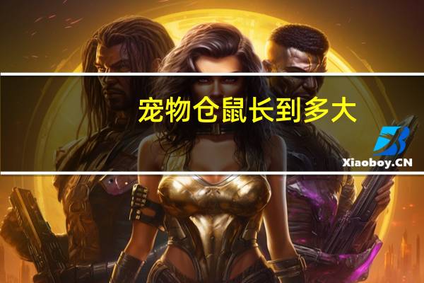宠物仓鼠长到多大