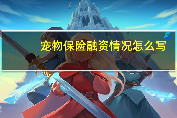宠物保险融资情况怎么写