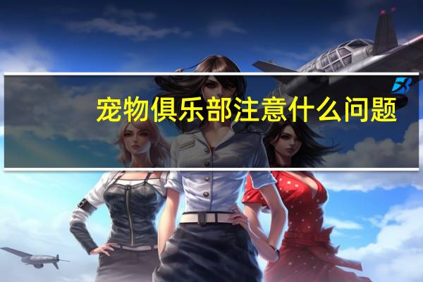 宠物俱乐部注意什么问题