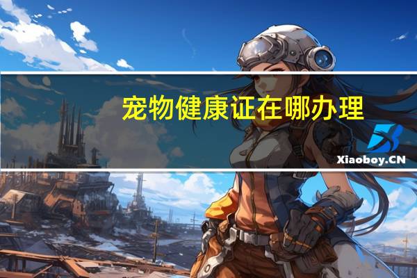 宠物健康证在哪办理