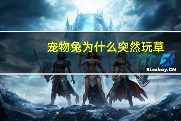 宠物兔为什么突然玩草