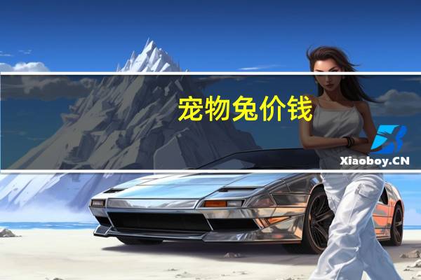 宠物兔价钱