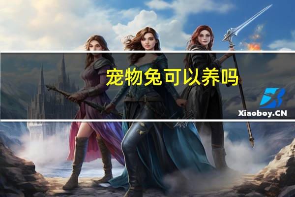 宠物兔可以养吗