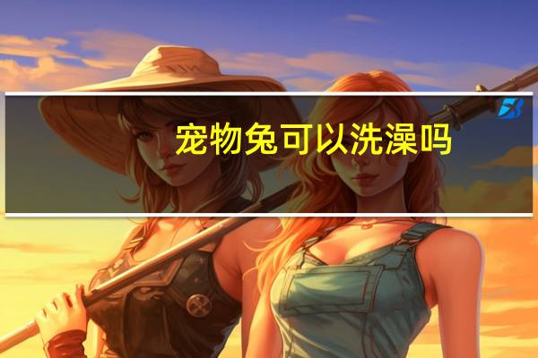 宠物兔可以洗澡吗
