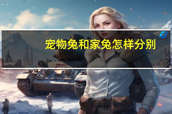宠物兔和家兔怎样分别