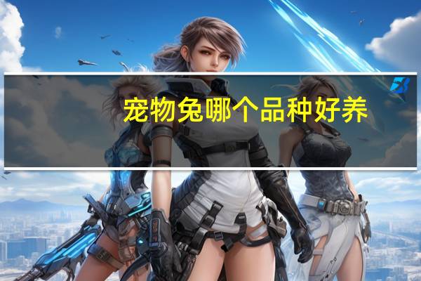 宠物兔哪个品种好养