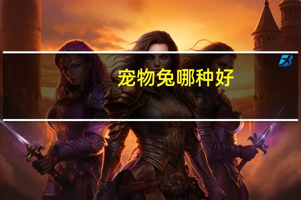 宠物兔哪种好
