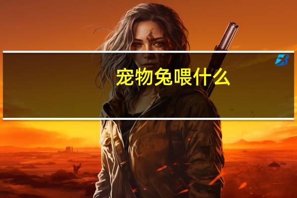 宠物兔喂什么