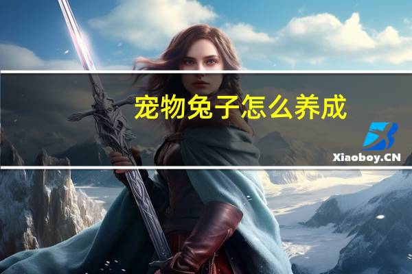 宠物兔子怎么养成