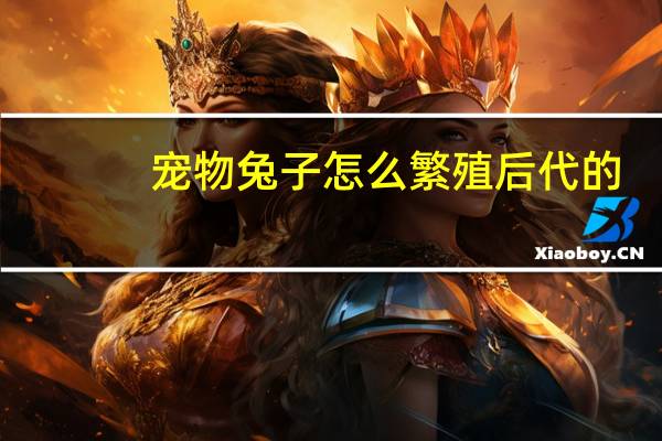 宠物兔子怎么繁殖后代的