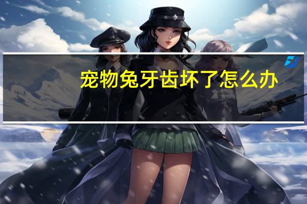 宠物兔牙齿坏了怎么办