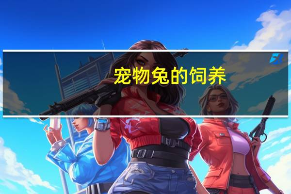 宠物兔的饲养