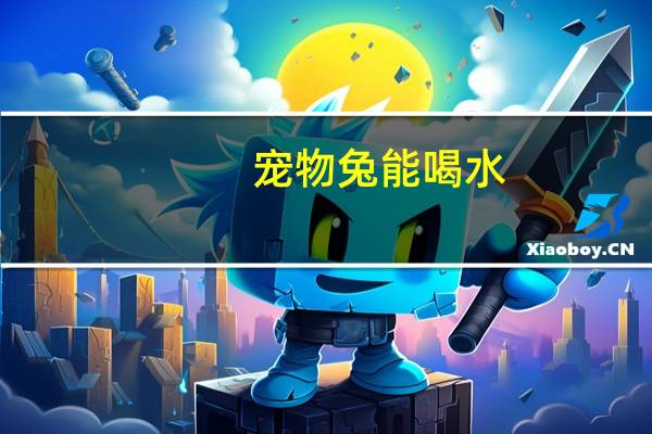 宠物兔能喝水