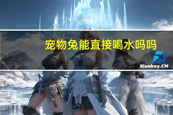 宠物兔能直接喝水吗吗