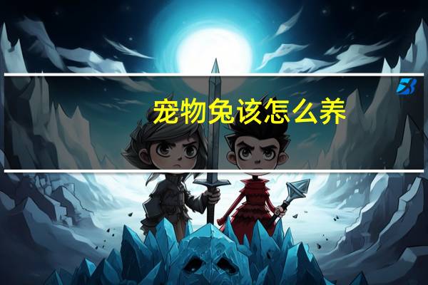 宠物兔该怎么养