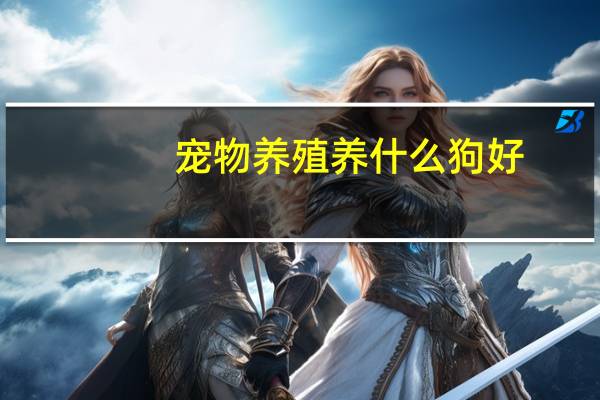 宠物养殖养什么狗好