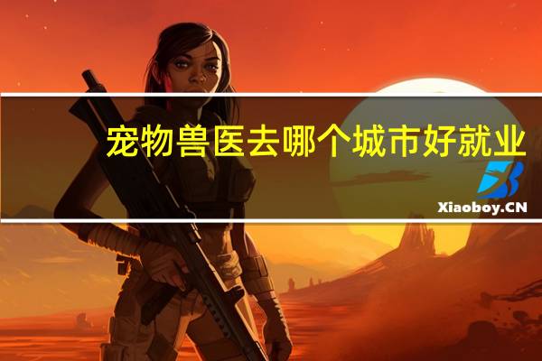 宠物兽医去哪个城市好就业