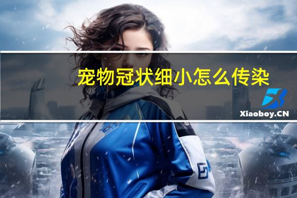 宠物冠状细小怎么传染