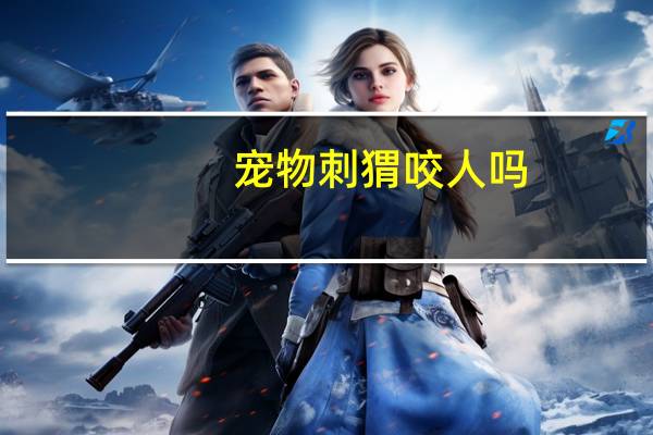 宠物刺猬咬人吗