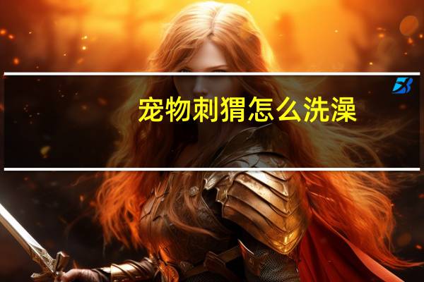 宠物刺猬怎么洗澡