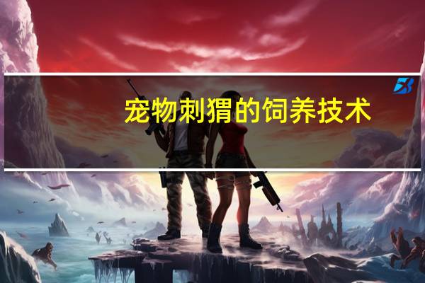 宠物刺猬的饲养技术