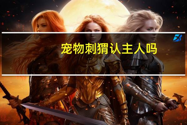 宠物刺猬认主人吗
