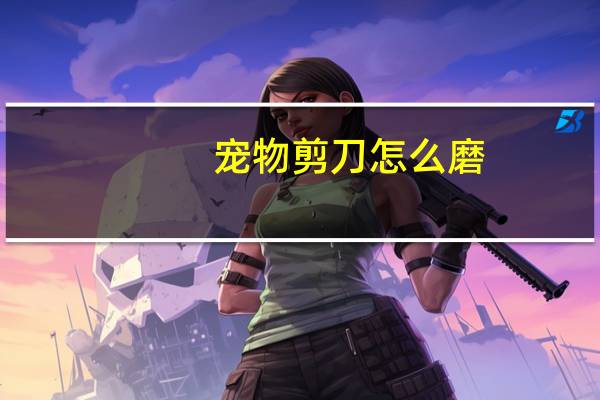 宠物剪刀怎么磨