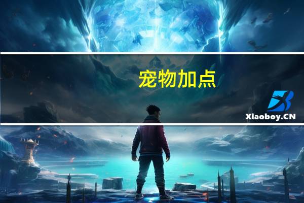 宠物加点