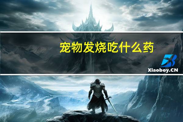 宠物发烧吃什么药