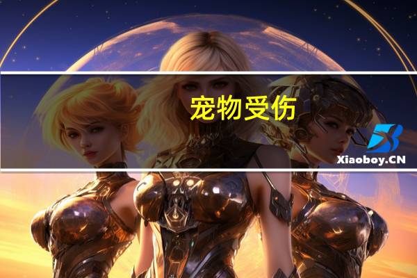 宠物受伤