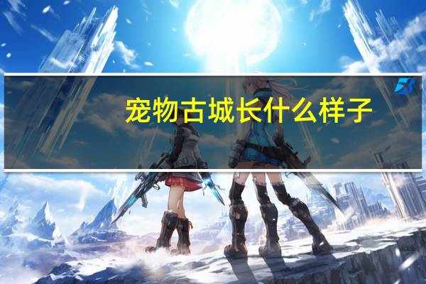 宠物古城长什么样子