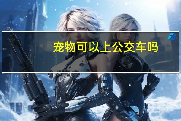 宠物可以上公交车吗
