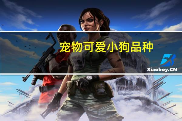 宠物可爱小狗品种