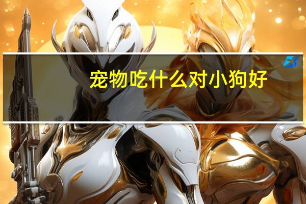 宠物吃什么对小狗好