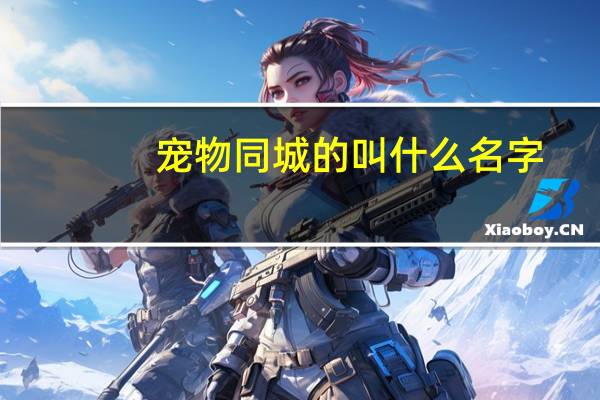 宠物同城的叫什么名字