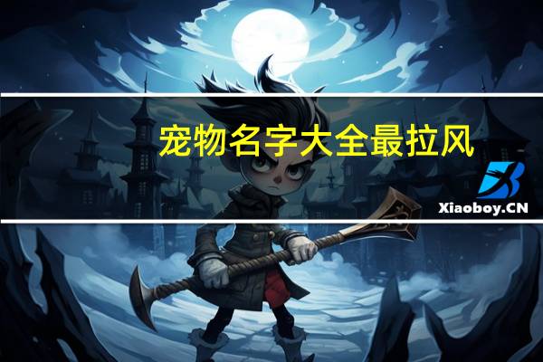 宠物名字大全最拉风