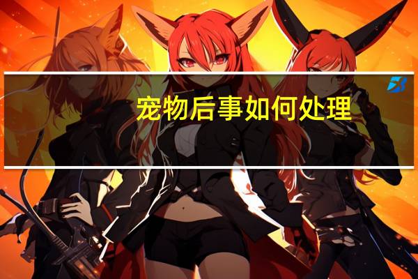 宠物后事如何处理