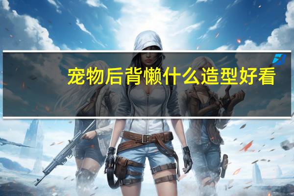 宠物后背懒什么造型好看