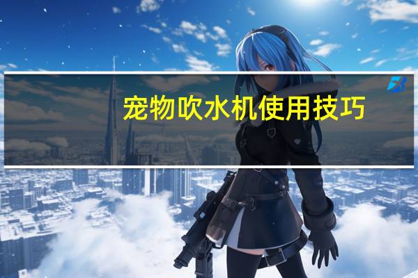 宠物吹水机使用技巧