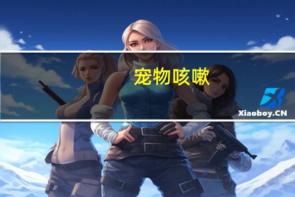 宠物咳嗽