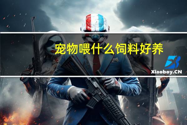 宠物喂什么饲料好养