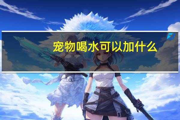 宠物喝水可以加什么