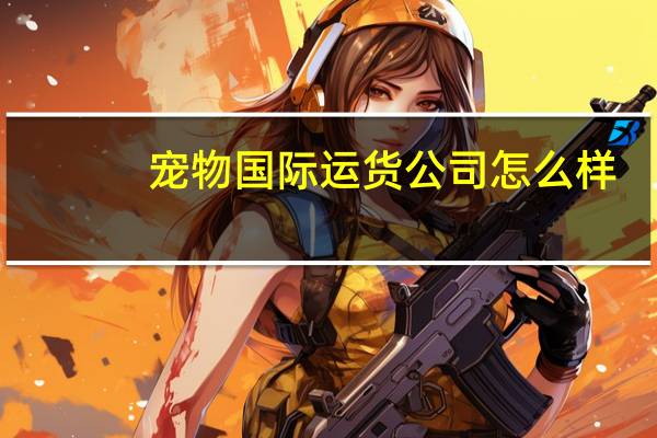 宠物国际运货公司怎么样