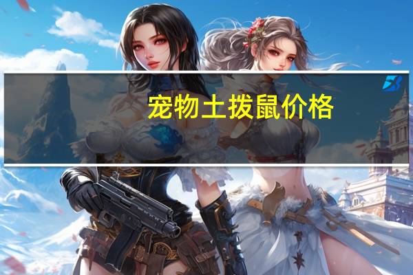 宠物土拨鼠价格