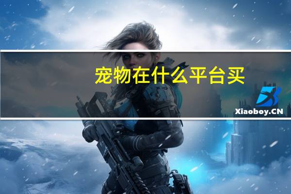 宠物在什么平台买