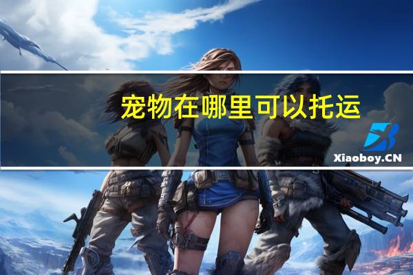 宠物在哪里可以托运