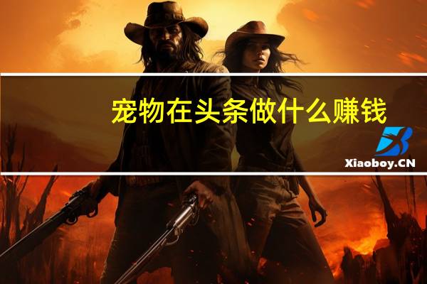 宠物在头条做什么赚钱