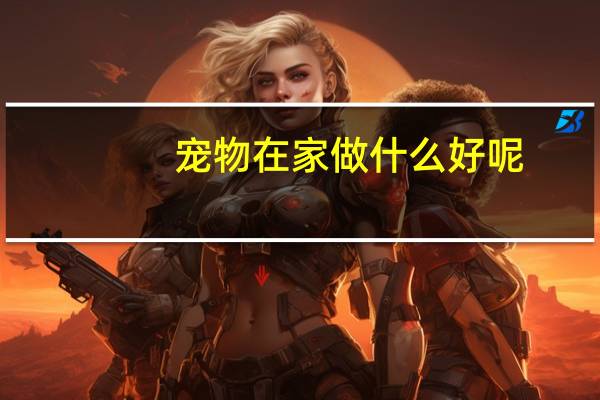 宠物在家做什么好呢