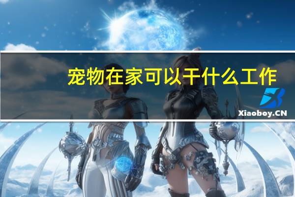 宠物在家可以干什么工作